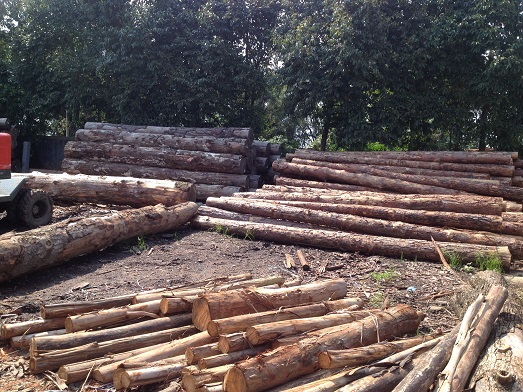 �S(ch��ng)���h(hu��n)��5