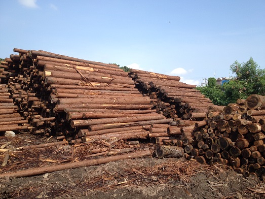 �S(ch��ng)���h(hu��n)��4